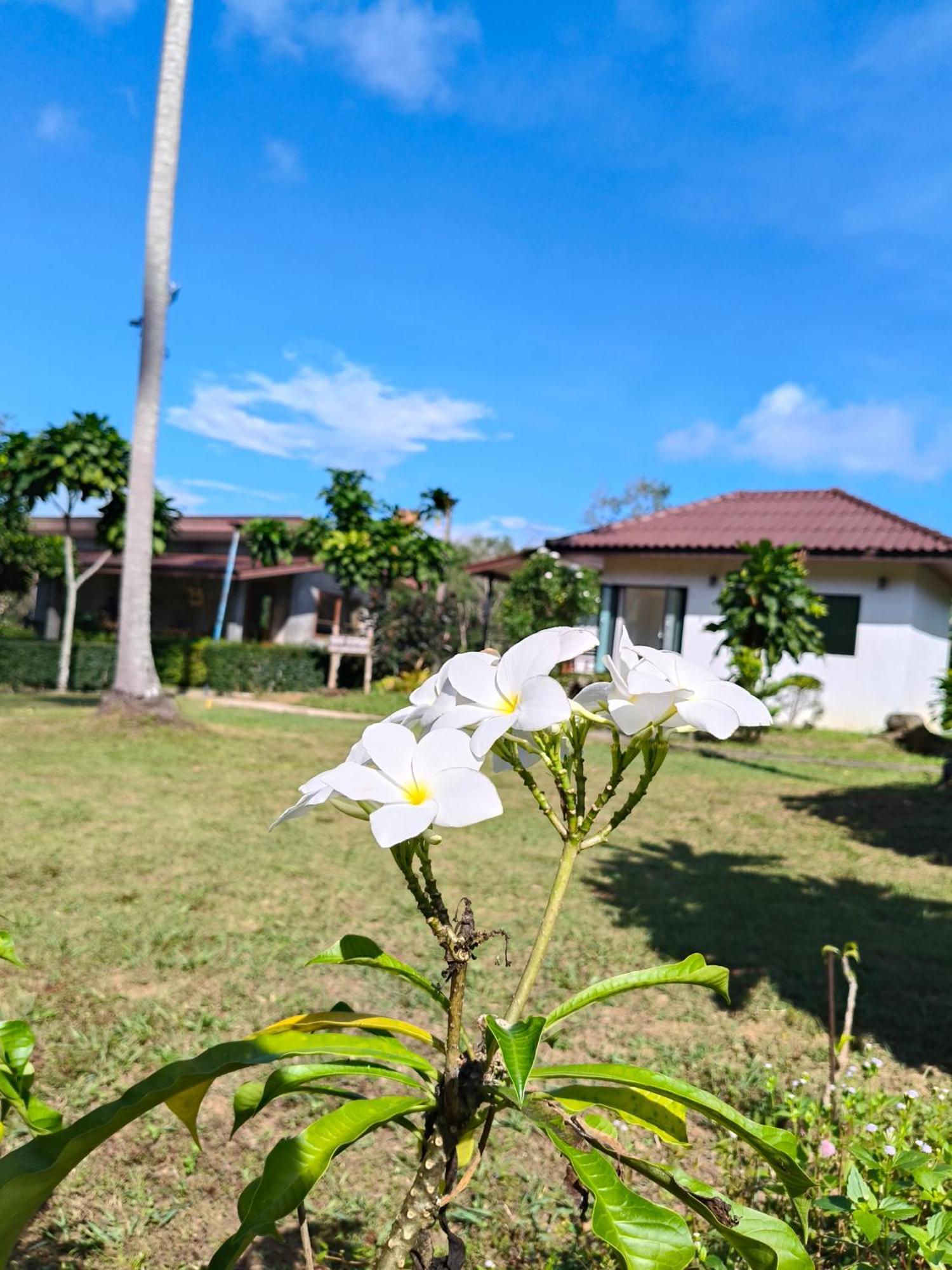 The Lodge At Koh Kood Ko Kut Eksteriør bilde